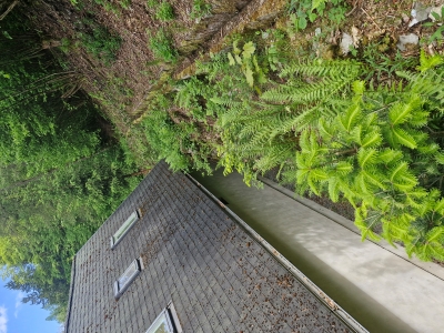 Opěrná zeď Nové Město nad Metují Opěrná zeď Nové Město nad Metují